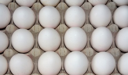 eggs arranged in a box
