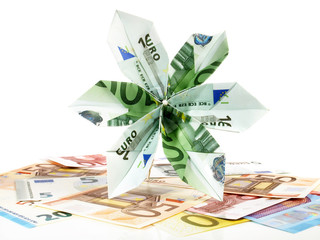 100 EURO Origami Money Blossom