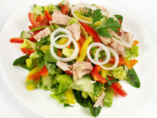 Colorful mixed Salad with white Tuna and Onions