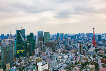 Fototapeta premium Tokyo Skyline