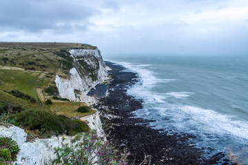 Fototapeta na wymiar White cliffs of Dover