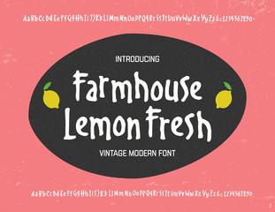  Original Handmade Font. Retro Typeface. Clean & Textured Versions Included. Vector Illustration.