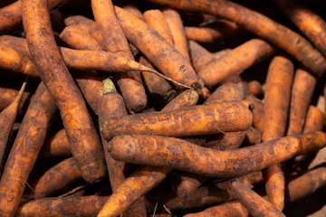 Close-up of carrots dirty in black soil on market shelf