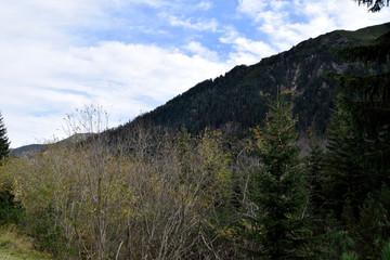 Natural mountain landscape. Territory of Poland. Tatra mountains. Wonderful autumn day. both Blue sky and green fir-trees.