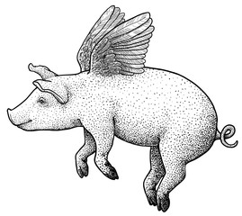 Flying pig illustration, drawing, engraving, ink, line art, vector