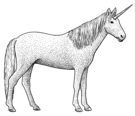 Unicorn illustration, drawing, engraving, ink, line art, vector