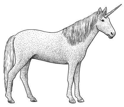 Unicorn illustration, drawing, engraving, ink, line art, vector