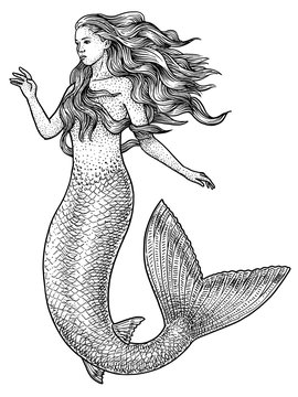 Mermaid Drawing Images – Browse 71,272 Stock Photos, Vectors, and Video