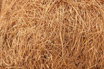 Hay background. Hay in the village closeup texture