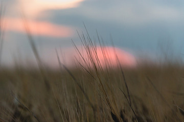 Obraz premium travel, landscape and nature of Russia. Yellow golden orange dramatic dawn at dawn or dusk over endless fields, hills, meadows. The sun rises in the morning above the horizon
