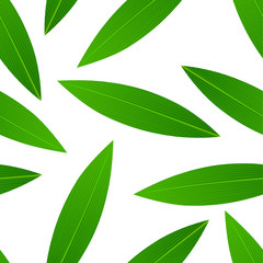 Green leaves seamless pattern. Nature graphic texture design.