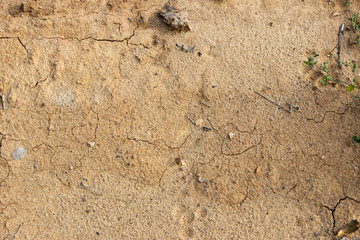 the yellow sands of the beach closeups.
