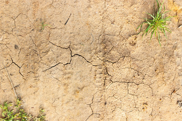 the yellow sands of the beach closeups.