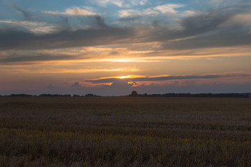 travel, landscape and nature of Russia. Yellow golden orange dramatic meadows. The sun rises in the morning above the horizon