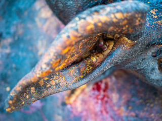 ASF. African swine fever. Processing carcasses of pigs from burner to black. process of cutting carcasses of pigs for consumption. peasant pig farm. Manual labor. Organic food. Compound in village