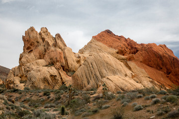 Fototapeta na wymiar Gold Butte National Monument