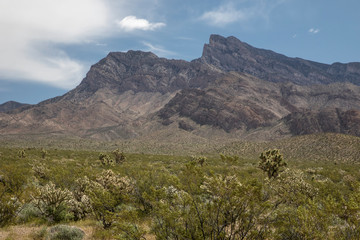Gold Butte Monument