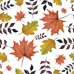 Fototapeta premium watercolor autumn leaves isolated on white background, autumn decoration seamless pattern