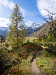 Fototapeta na wymiar Autum in the Alps