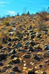 a path with many stones