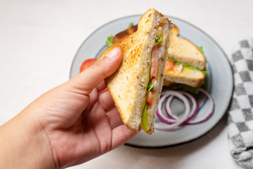 Grilled cheese sandwich with tomato and whole grain bread on white background