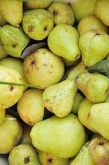 pears