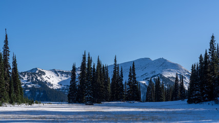 First Snow Mount Fremont As Seen From Grand Park, Mount Rainier National Park
