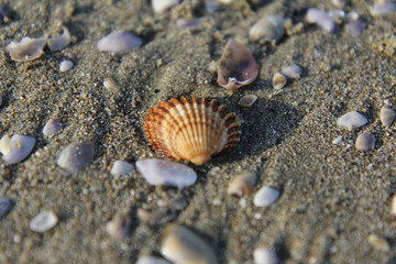 Sea and sand at Mediterranean coast of Italy. Beautiful Toscana