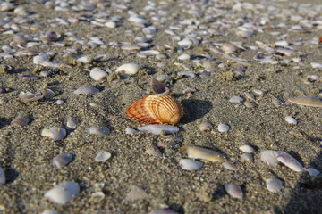Sea and sand at Mediterranean coast of Italy. Beautiful Toscana