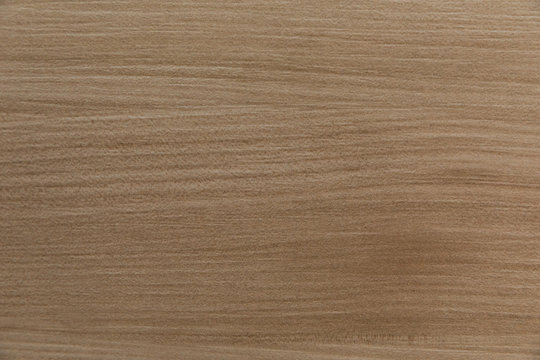 Light brown warm-toned wood texture background surface with gentle natural pattern