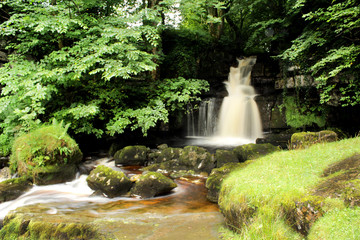 Fototapeta na wymiar waterfall in the forest keld yorkshire dales