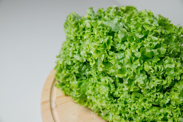 Fototapeta premium Fresh lettuce salad leaves bunch isolated on white background cutout