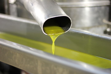 The exit of olive oil from the Olive press