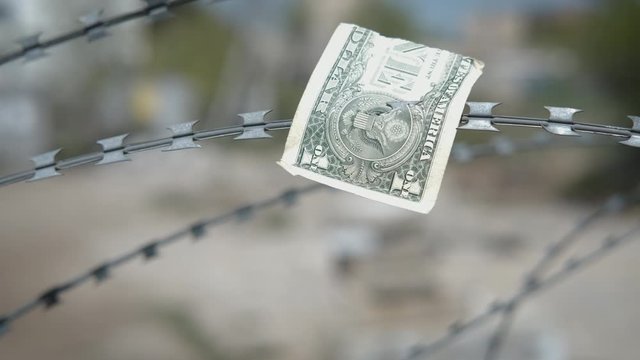 Money of freedom. Torn dollar on barbed wire.