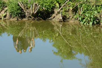 Reflect of people walking in the swamps, Friends in the summer.
