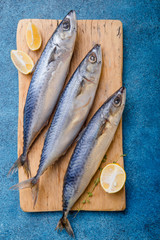 Atlantic bonito Sarda or Palamida that is large mackerel-like fish.