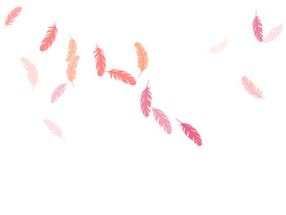 Falling feather elements soft vector design.