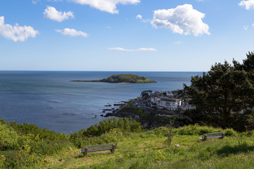 Looe Island in the Cornish sunshine from the wooldown Looe