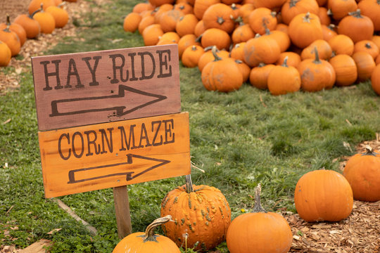 hay ride and corn maze sign