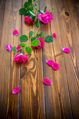 bouquet of beautiful red roses on a white