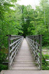 wood walking bridge in forest