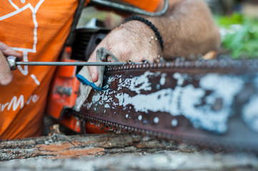 Close-up professional chainsaw blade