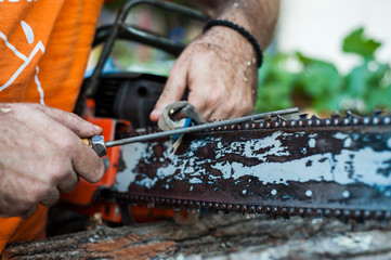 Close-up professional chainsaw blade