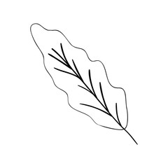 ecology leaf plant isolated icon