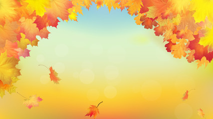 Naklejka na ściany i meble Autumn background with golden maple and oak leaves