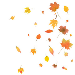 Naklejka na ściany i meble Autumn background with golden autumn leaves. Vector.