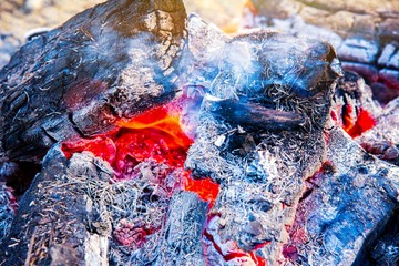 Close-up of campfire in evening . Wood fire . Rest by the fire. Fireplace.