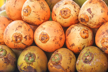 Fresh Coconut Filled with Water Palm Tree Fruit