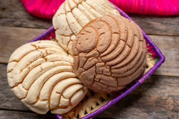 Fototapeta premium Mexican sweet bread: vanilla and chocolate conchas on wooden background