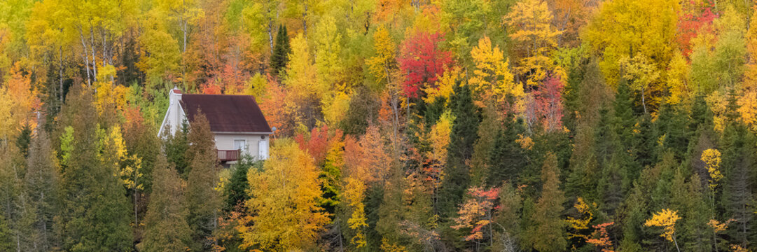 House in the forest on the lake in Canada, in autumn, beautiful colors of the trees 